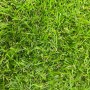 Искусственная трава Grass MIX 20