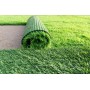 Искусственная трава Grass MIX 30